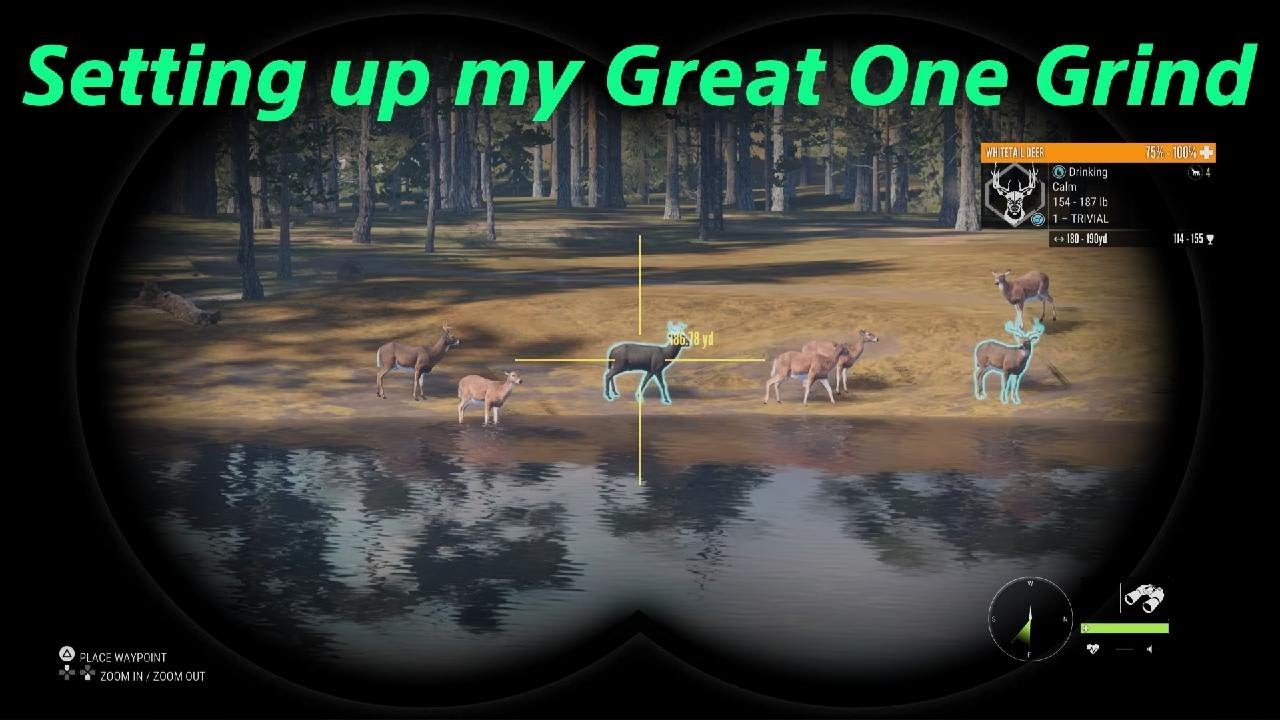 theHunter: Call of the Wild || Setting up my Great One Grind