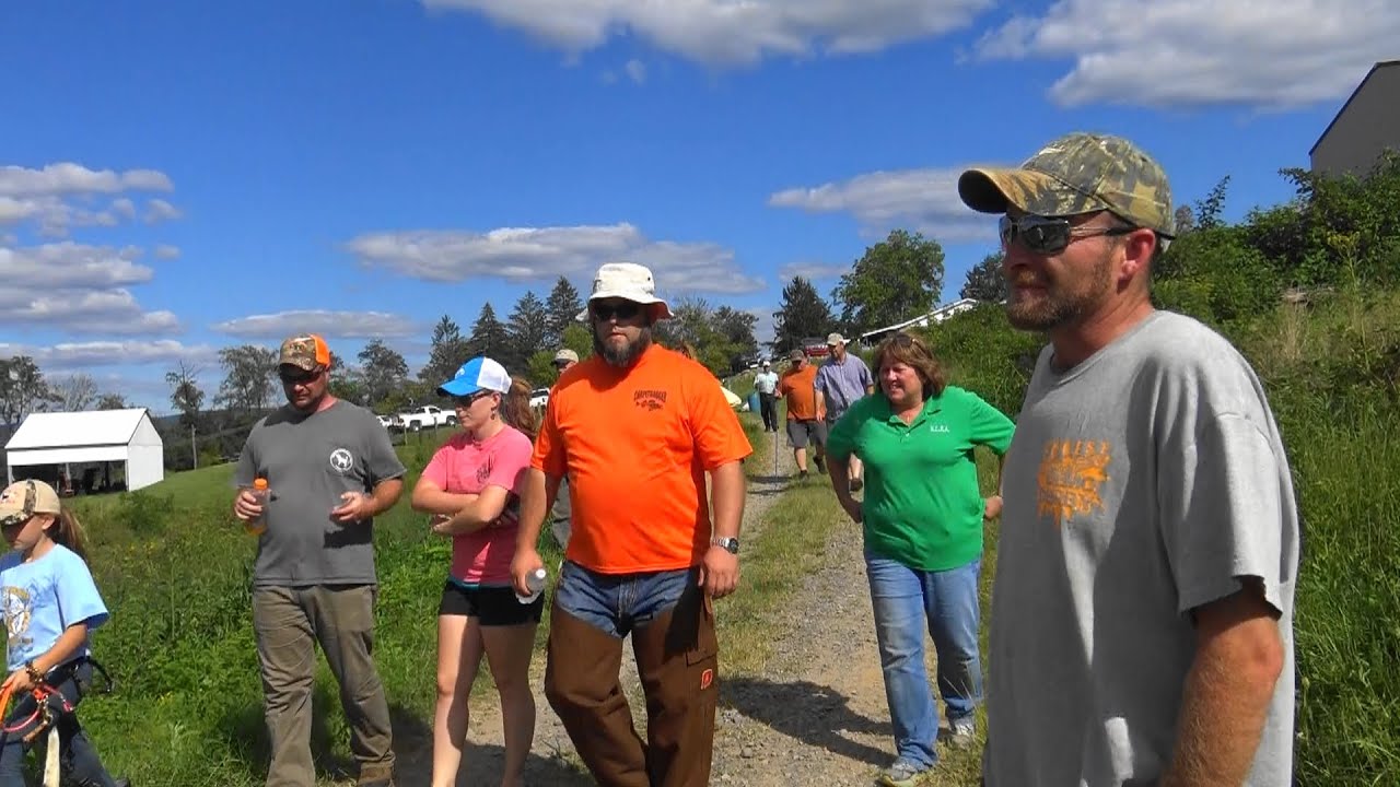 Skyview's Beagles Big Males SPO Trial Last Section Of Run Field Trial