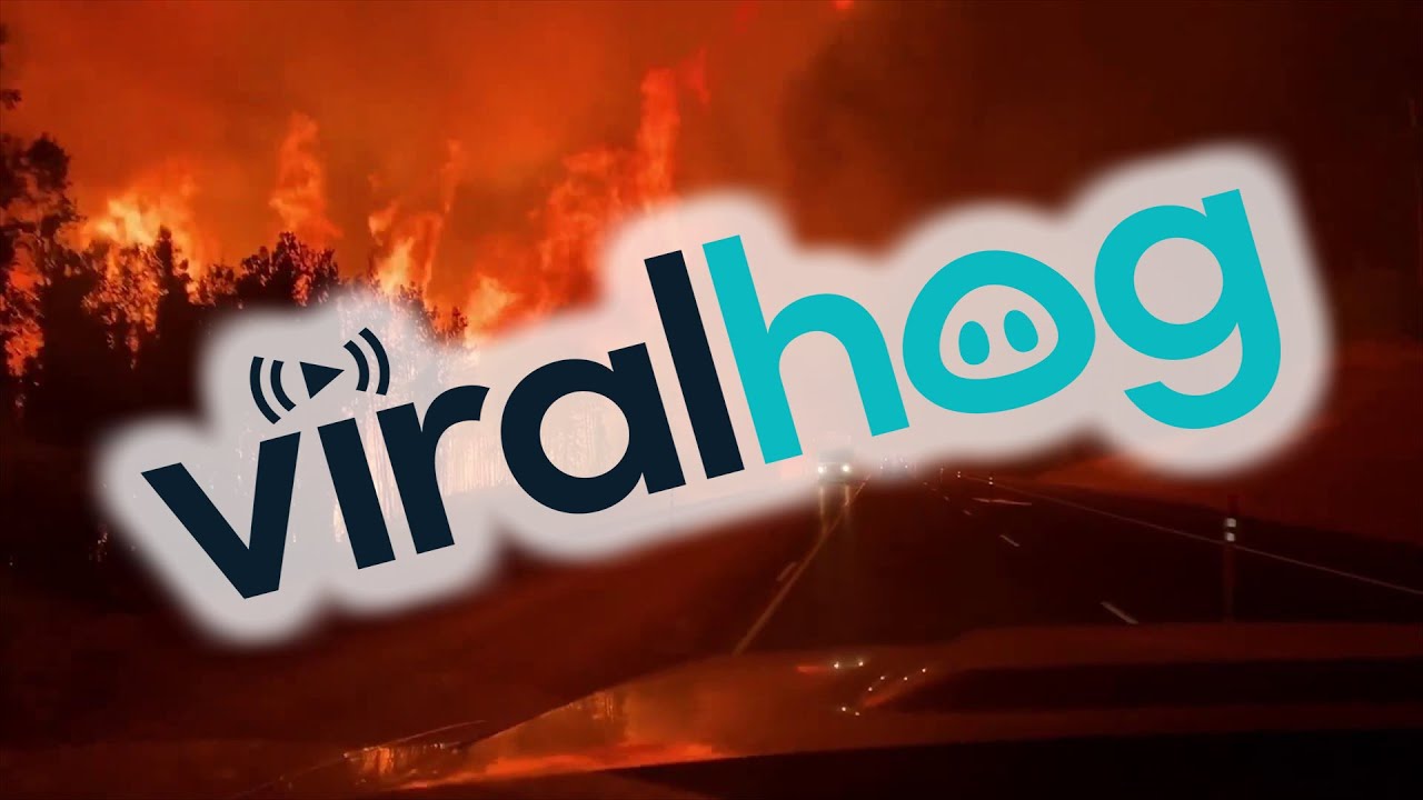 Swan Forest Fire From the Road || ViralHog