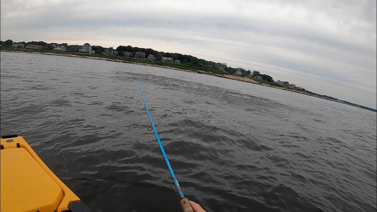 Kayak Fishing Rhode Island Striped Bass Blitzes & Lots of Activity
