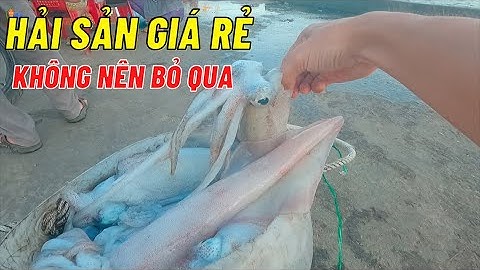 Chợ cá buổi chiều giá rẻ không nên bỏ qua  -  ❤️  phan thiết phố 🏖