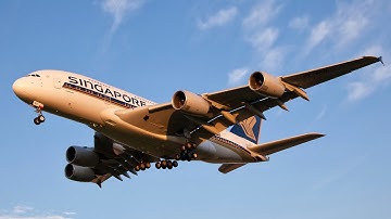 Driving Growth: Delivering cost effective service excellence (Pt 1)