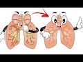 Cough Lungs