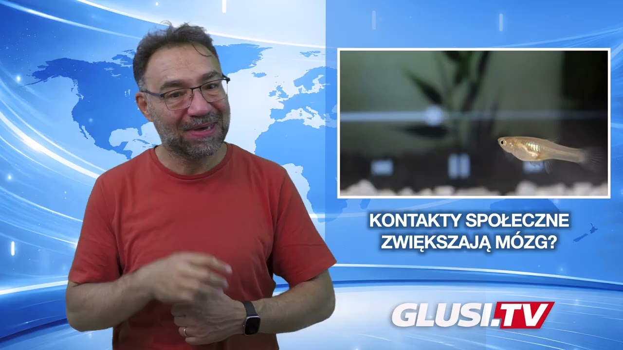 Kontakty społeczne zwiększają mózg?