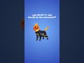 Fortnite | Dark Voyager Sidekick