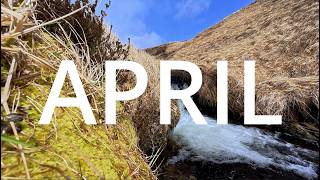 The Greatest Adak Island Video Of All Time (shot in 90 minutes and starring the weather and a dog)