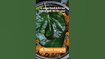 #pradeepmishrajidhankeupay #20 अक्टूबर दिवाली के दिन माता लक्ष्मी को उनका प्रिय भोग अवश्य लगे 🌿🔱❤️🧿