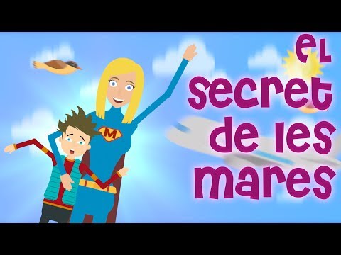 Vídeo: Les flors més boniques del món