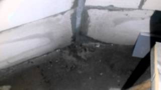 VID 20150203 181155(, 2015-02-11T07:11:06.000Z)