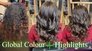 How To : Global Hair Colour Plus Highlights Tutorial / Highlights Colour Tutorial / Loreal 12.5 12.3