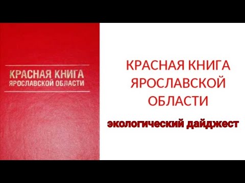 Экологический видеодайджест «Красная книга Ярославской области»