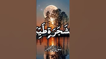 سورة إبراهيم #القران_الكريم #اكسبلور