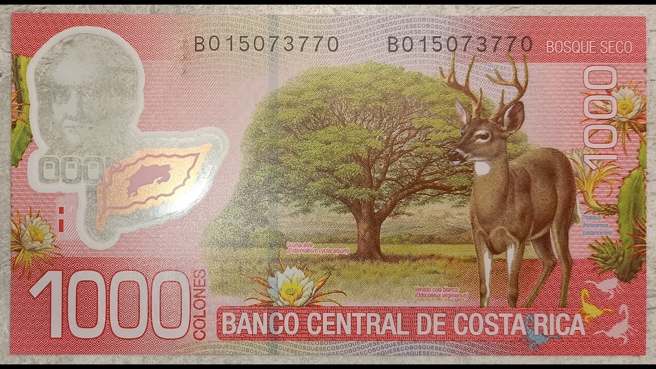 Costa Rice Currency Notes COSTA RICA - 1.000 - COLONES - 2013 - POLYMER - CACTUS - WHITE-TAILED ...