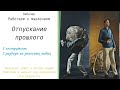 Как отпустить прошлое. Почему не получается начать все с нуля. Как работать с мышлением.