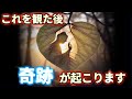 突然、この動画が表示された方は幸運の持ち主です。これはあなたを幸福へと導く動画です。これが観れたあなたには、この後、奇跡が起こります。