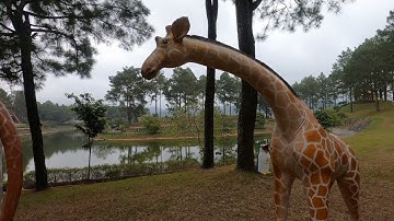 ThảoCady đi chơi nhìn thấy các con vật, con hươu cao cổ, con voi, con ngựa vằn. part-50.