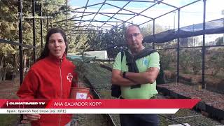 Salvémos Al Pinsapo Para Reducir El Efecto De Invernadero