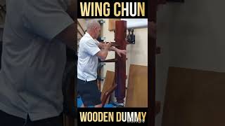 #kungfu #wingchun #woodendummy #kata #short #martialarts #video #performance #traditional #training
