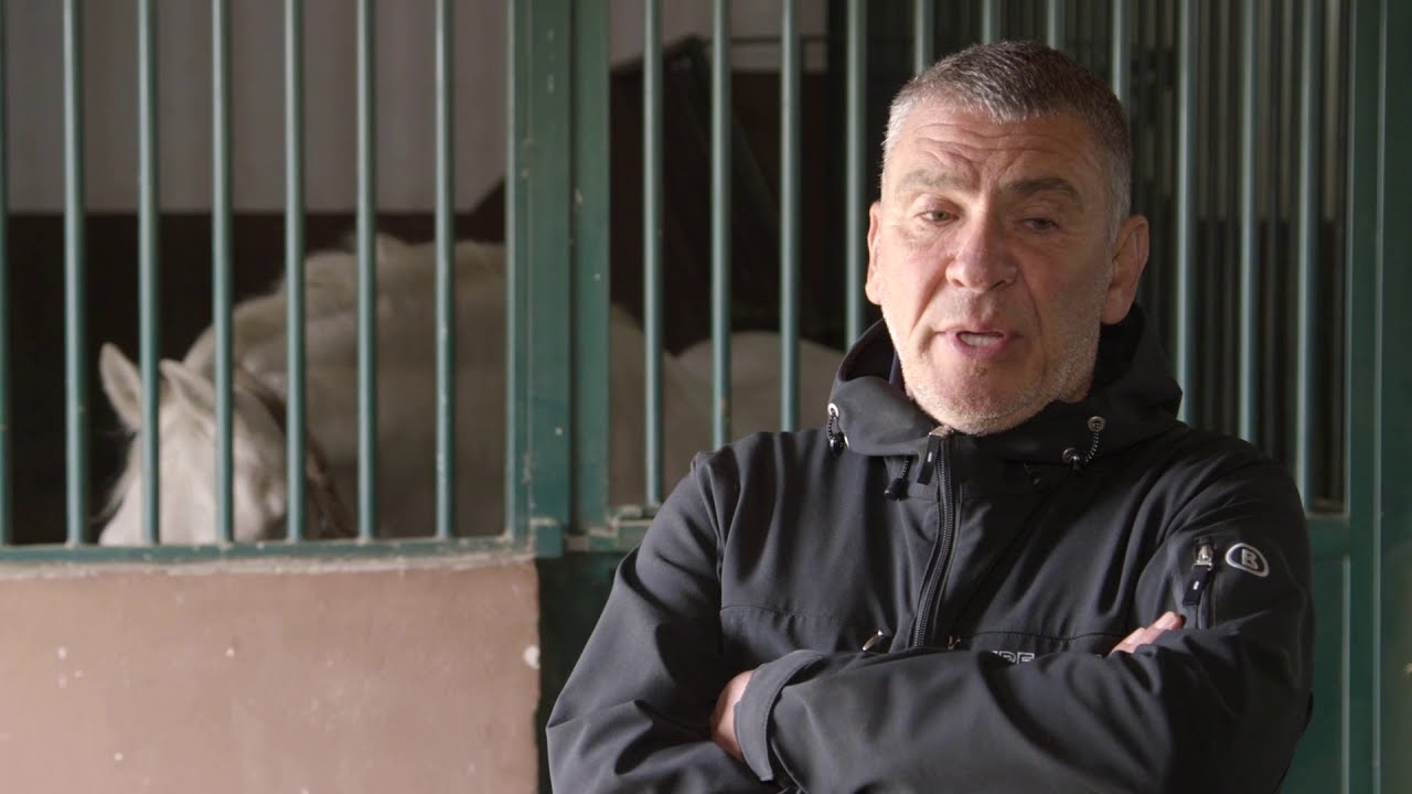 Uzgoj lipicanera u Surduku - U nasem ataru 793