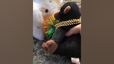 Newbs: The contraband pouch