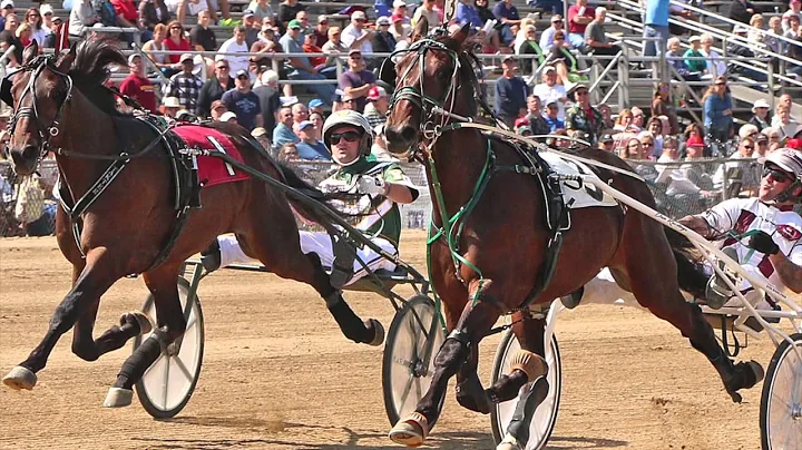 Chats with Champ - John Fielding & Jimmy Takter