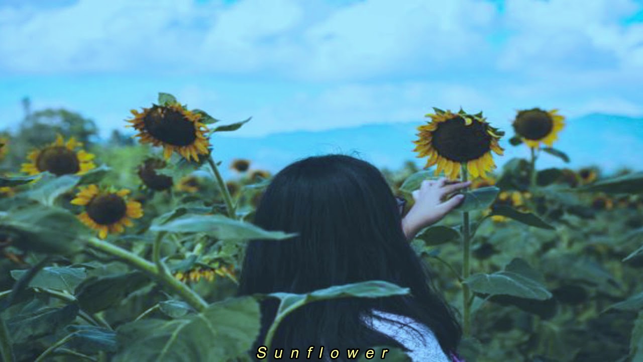 Sunflower Rex Orange County (Subtitulada) YouTube