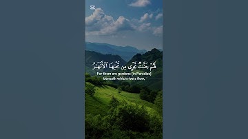 ياسر الدوسري - سورة المائدة - اية ١١٩ #قرآن #سورة_المائدة #ياسر_الدوسري