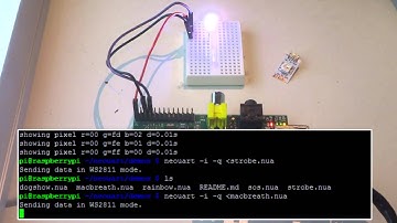 NeoPixel Connected Directly to Raspberry Pi