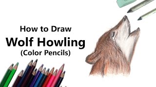 How to Draw a Wolf Howling with Color Pencils [Time Lapse]