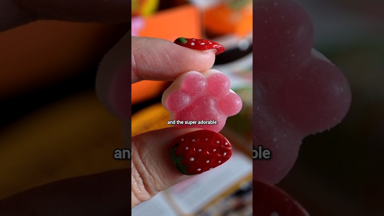 tokyo treat japanese snack box monthly subscription 