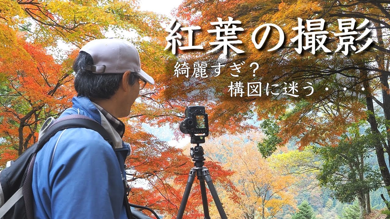 【自然写真】紅葉が綺麗でどこを写すか迷ってしまった！