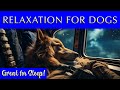 Music to Help Dogs Relax | Gentle Tunes for Stress Relief and Sleep
