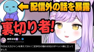 紫宮るなが配信外で話したおばけの話を暴露するりんしゃんつかい【Lykq/ぶいすぽっ！/APEX /切り抜き】