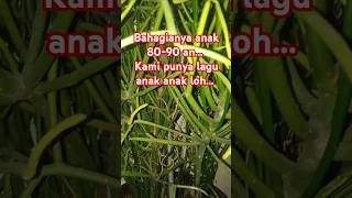 #anakmilenial #anak80an #anak90an #genz #genalpha #abad21 #genyoutube #fypシ゚viral #shortsvideo