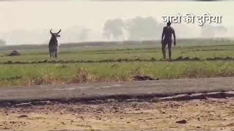 Jato ke ulte kaam full Haryanvi song Royal Jatt