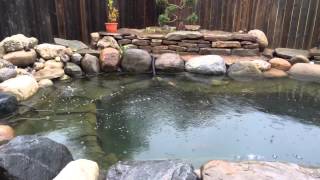 Its Raining Koi Pond - Relaxing
