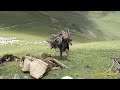 tough life of nepali shepherd || pastoral life ||