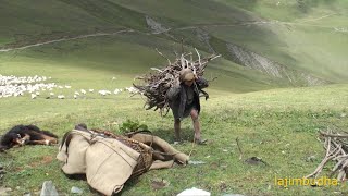 tough life of nepali shepherd || Nepal || lajimbudha ||