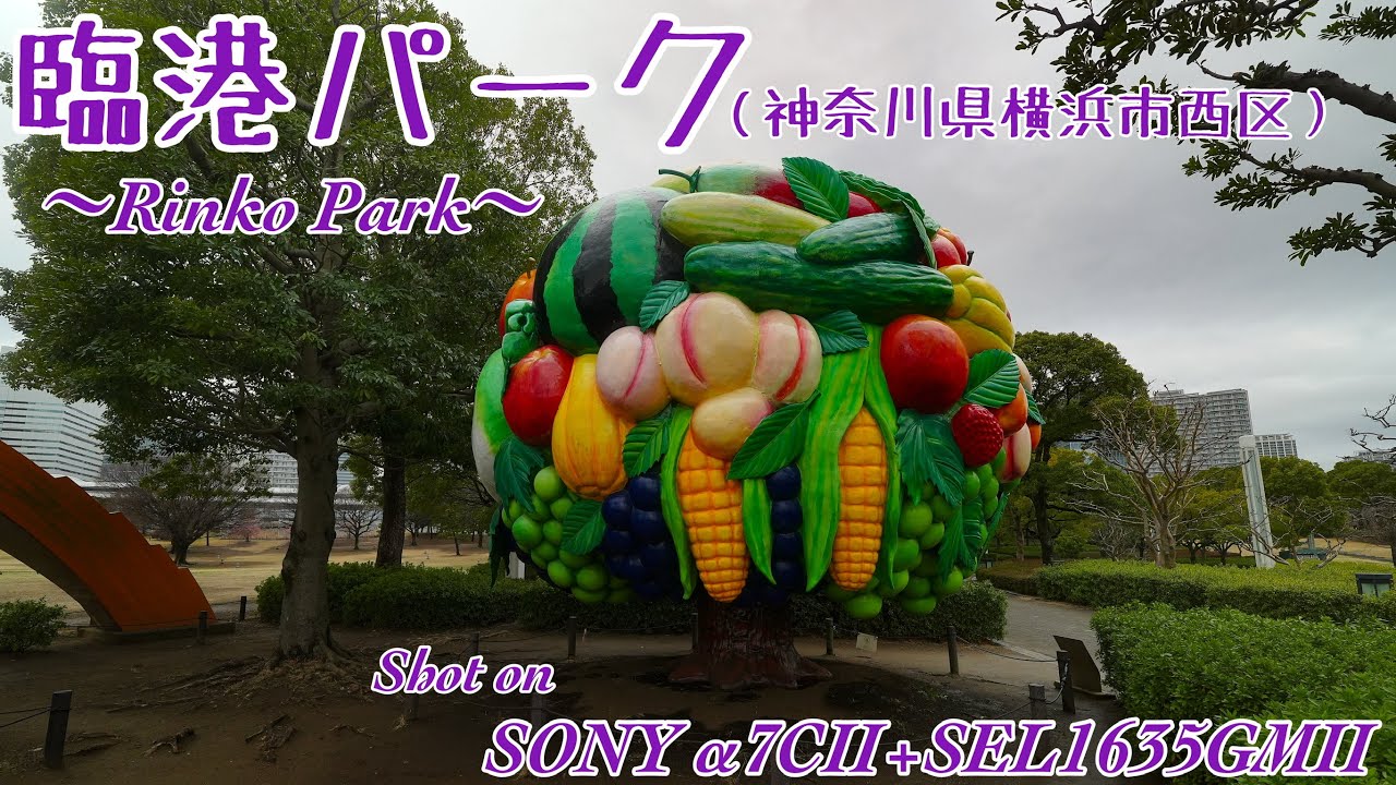 【臨港パーク #379】〜Rinko Park〜【SONY α7CⅡ+SEL1635GMⅡ】