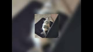 Download lagu tentang perasaanku -  Irwansyah (speed up)