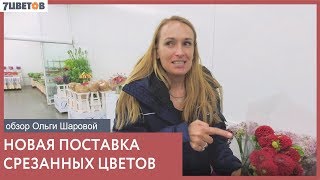 Летние новинки и хиты в 