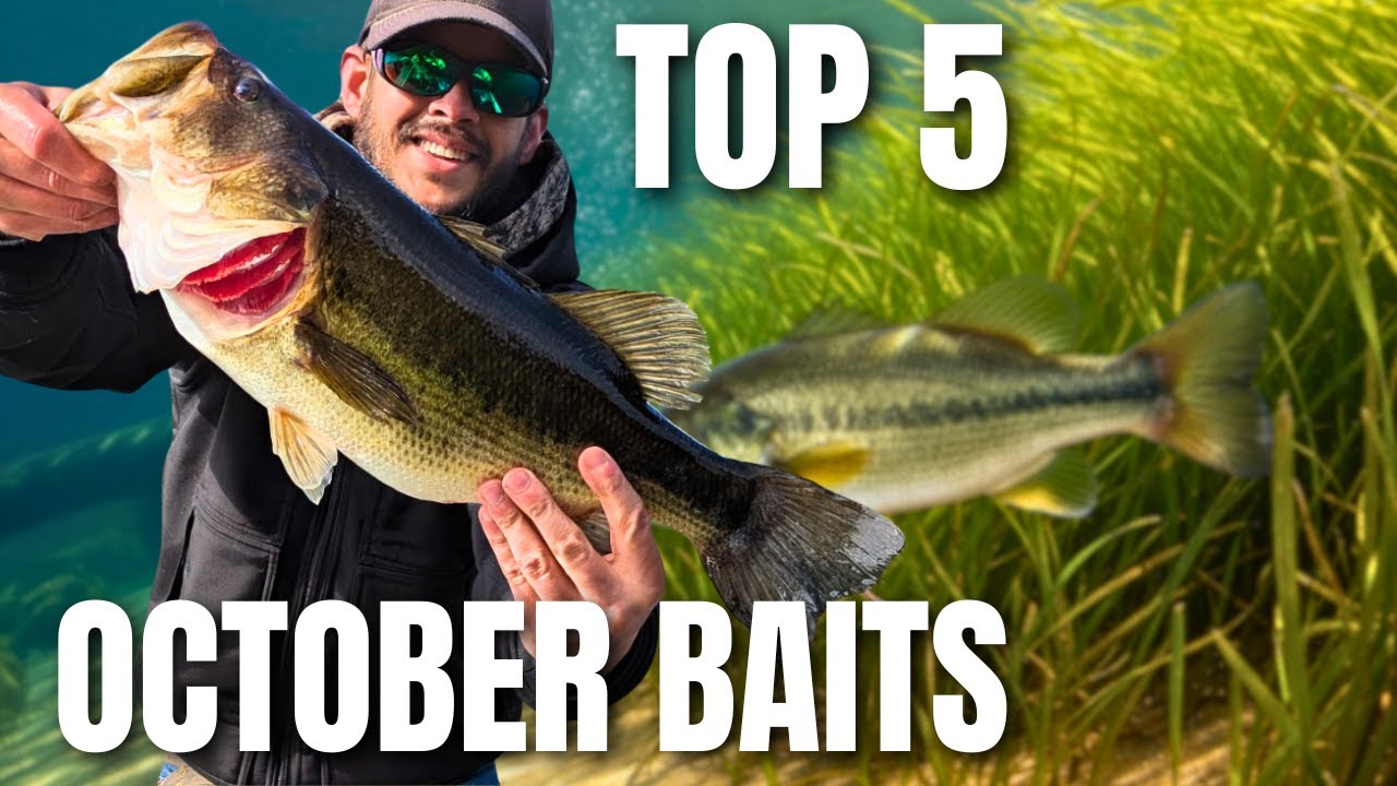 TOP 5 Baits For October Bass Fishing!