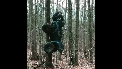 ATV winch vs tree