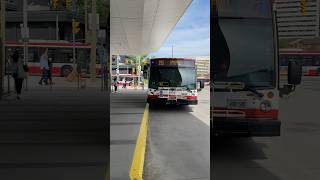 TTC Nova Bus LFS #8713 on route 191 Underhill