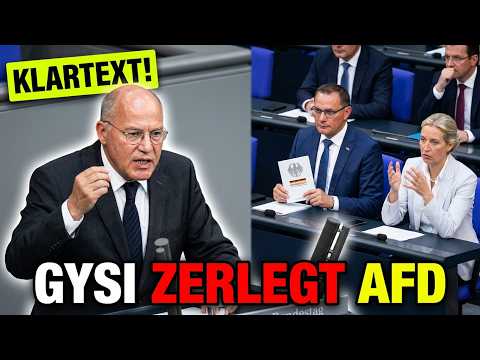 FRECHHEIT! Gysi macht die AfD fertig!