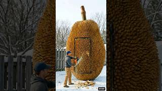 Giant Jackfruit Turned Into A Luxury Hidden Suite