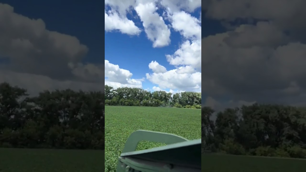 Ukrainian mechanized assault on tree line occupied by Russian troops in Kursk region