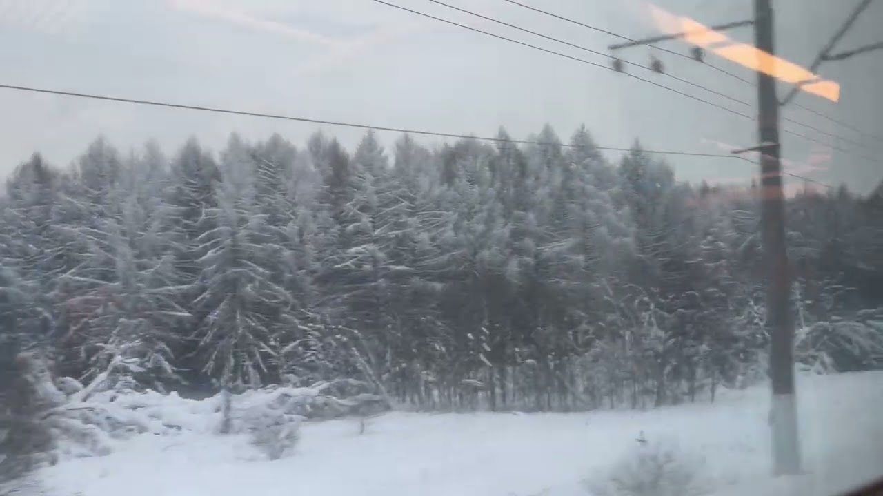 Прибытие на ст. Сергиев Посад на поезде 101 Ярославль – Москва