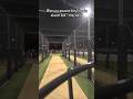 TAME MY HEAD OFF, FINE #funny #pov #cricket #cricketlover #meta