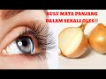 BULU MATA PANJANG DAN ALIS TEBAL DALAM 3 HARI‼️